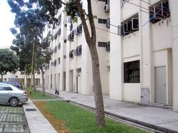 Blk 316 Hougang Avenue 7 (Hougang), HDB 3 Rooms #558833821